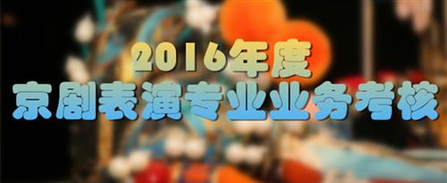 插逼视频网址国家京剧院2016年度京剧表演专业业务考...